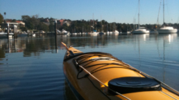 Sydney Harbour, 2011